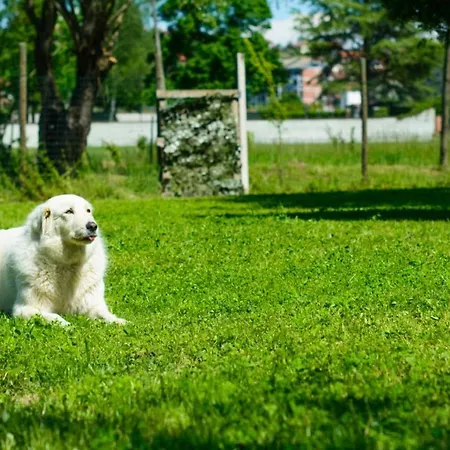 Il Martinetto Cantarana