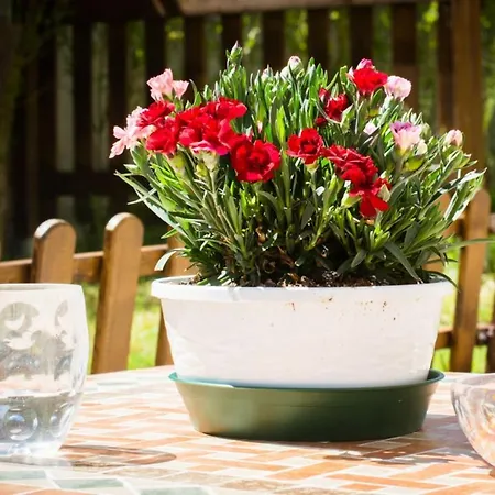 Bed & Breakfast Il Martinetto