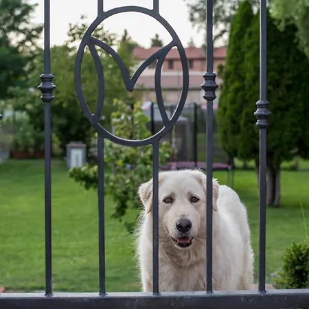 Il Martinetto Bed & Breakfast Cantarana